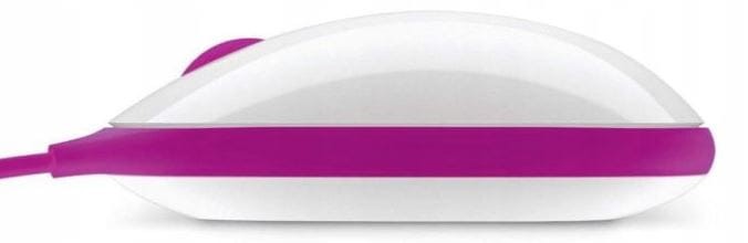 Microsoft Express Mouse