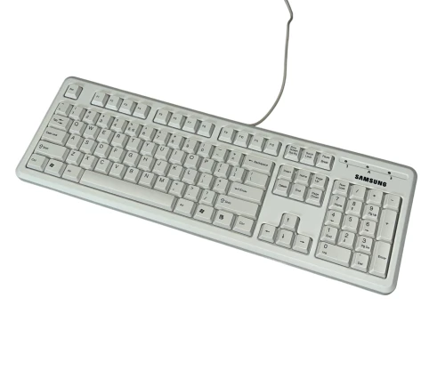 Samsung GDC1000 PS2