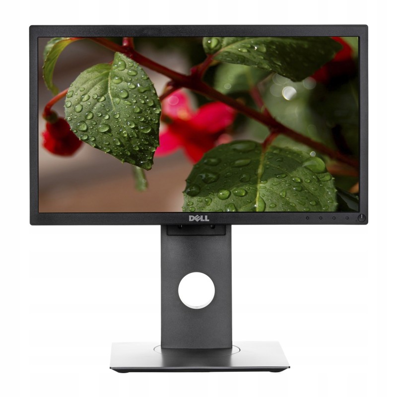 Monitor 24" Dell P2419H